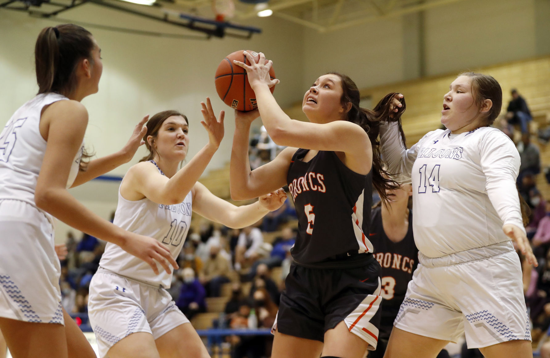 Skyview girls basketball hosts Senior